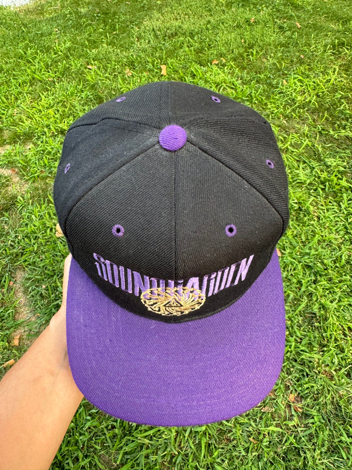 Vintage Soundgarden Hat